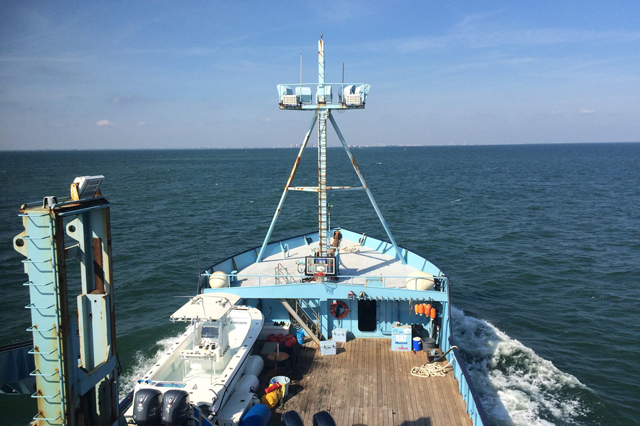 OCEARCH team