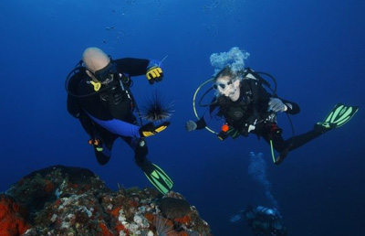 Truchon diving
