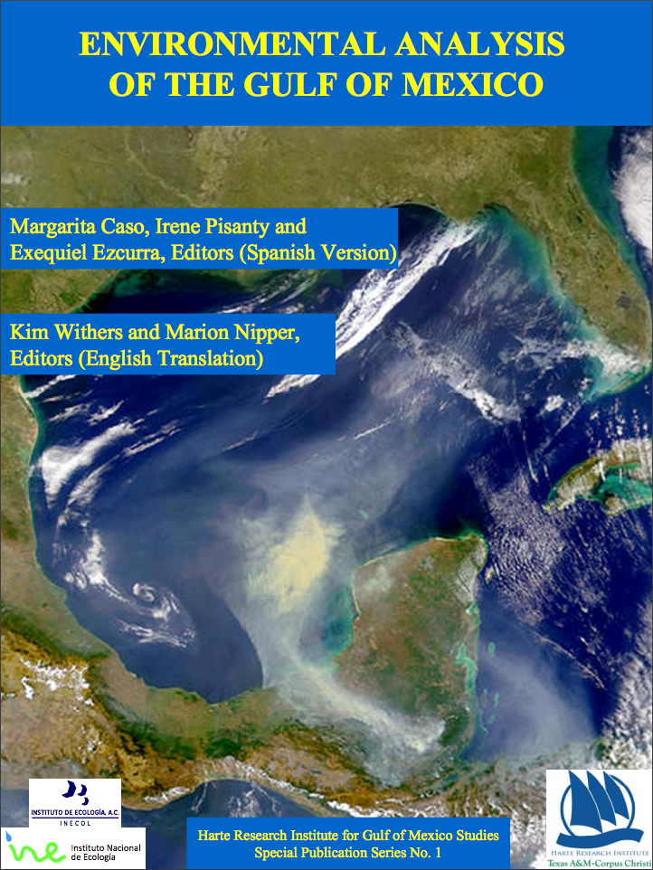 Environmental Analysis of the Gulf of Mexico