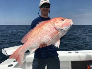 snapper catch