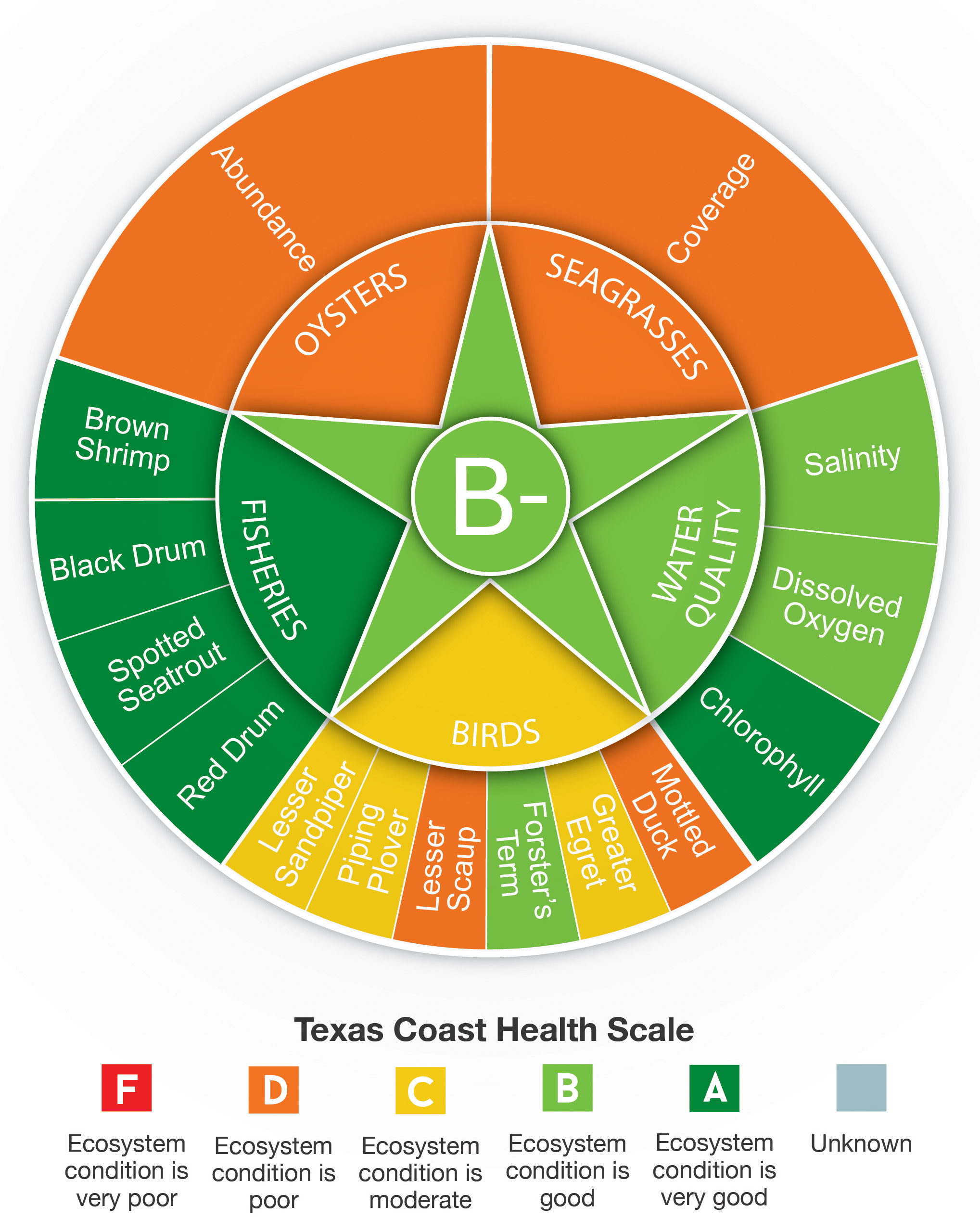 Texas Coast report card