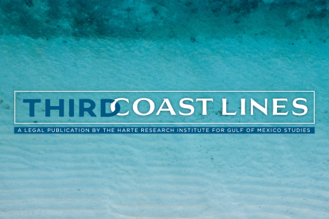 Third Coast Lines