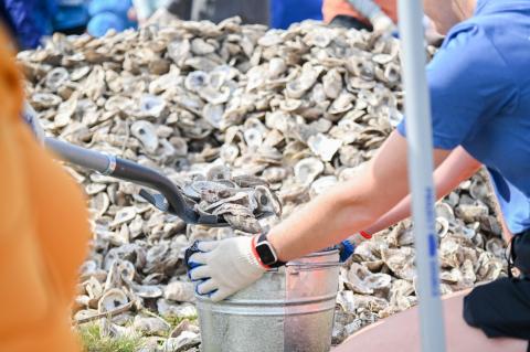 Sink Your Shucks had 3 community restoration events in 2025