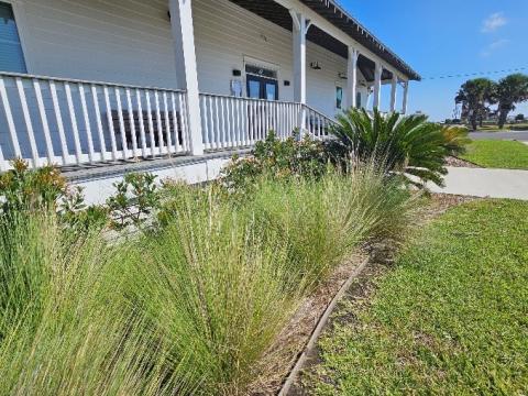Green Infrastructure projects, Rockport, Texas