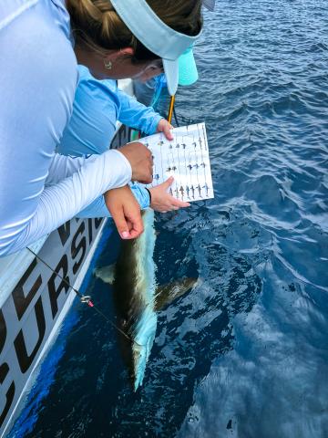 Research by Center for Sportfish Science and Conservation