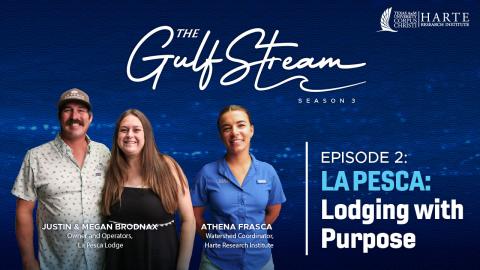 The Gulf Stream Podcast