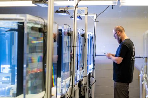 corals in aquariums at HRI