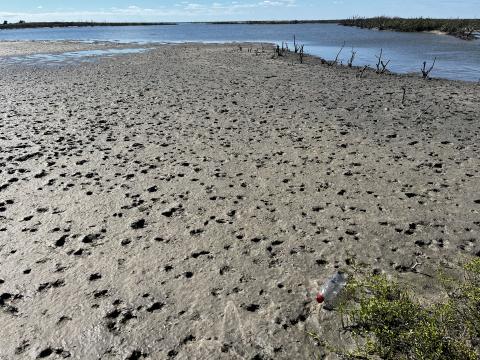 Hail pock marks on island in Corpus Christi Bay