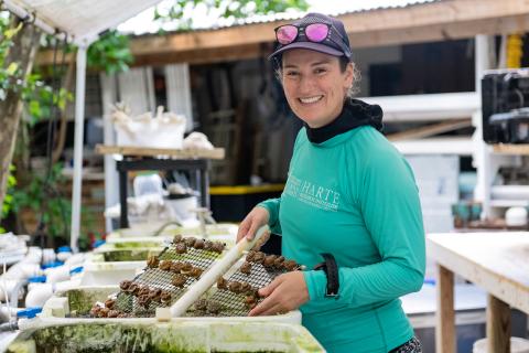 HRI Coral Reef and Ocean Health Chair Dr. Keisha Bahr