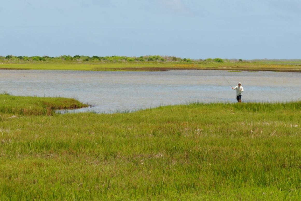 estuary pic