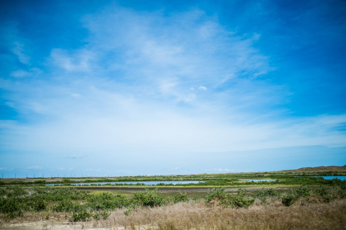 Texas barrier island marsh