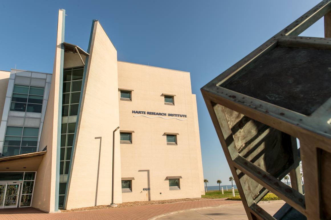 Harte Research Institute at Texas A&M University-Corpus Christi is celebrating its 25th anniversary in 2025.