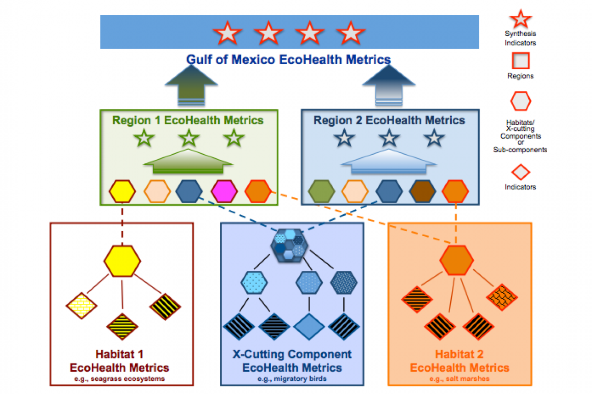 Gulf of Mexico EcoHealth Metrics