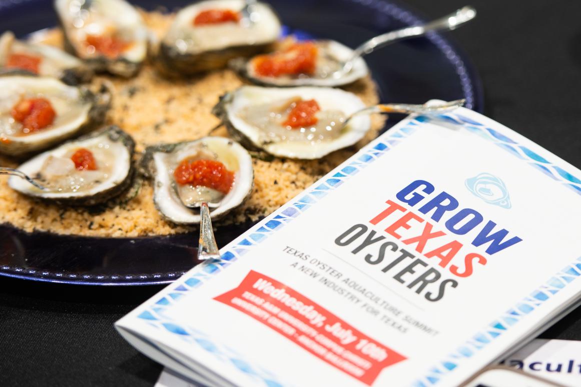 oyster summit