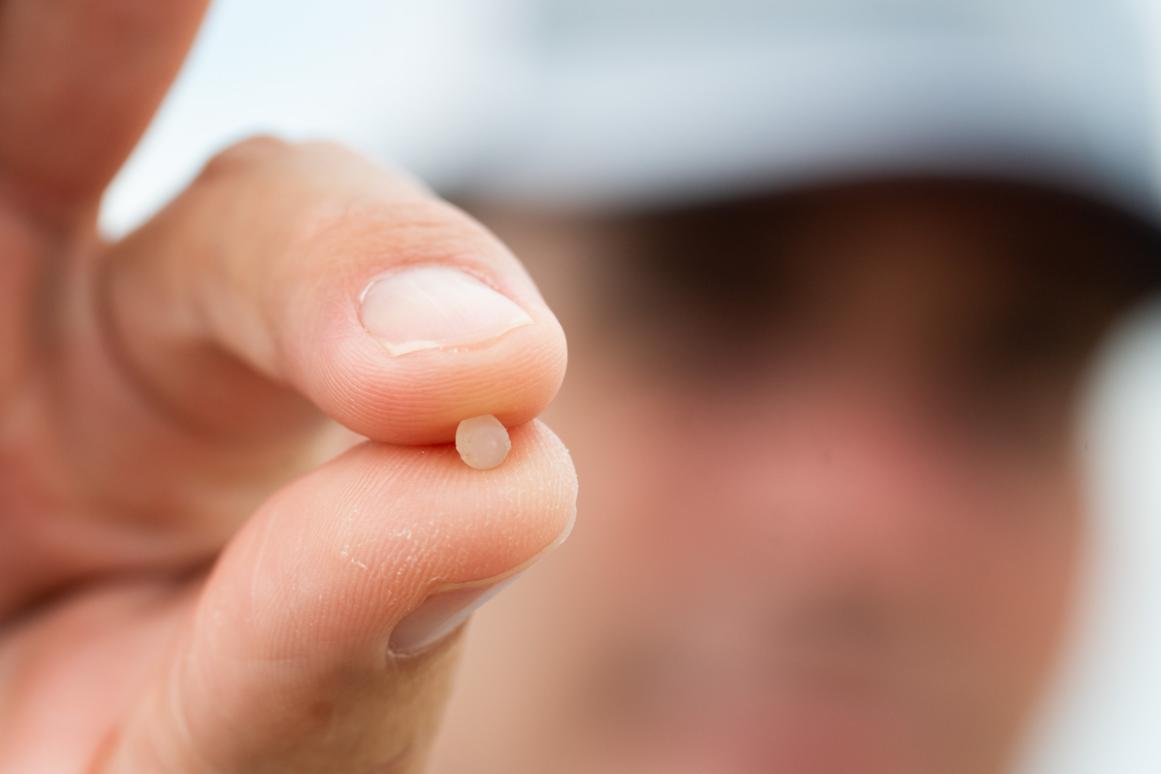 nurdles