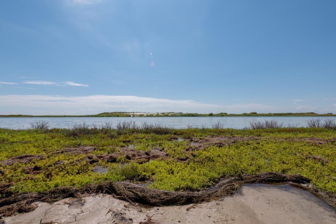 Laguna Madre spoil island