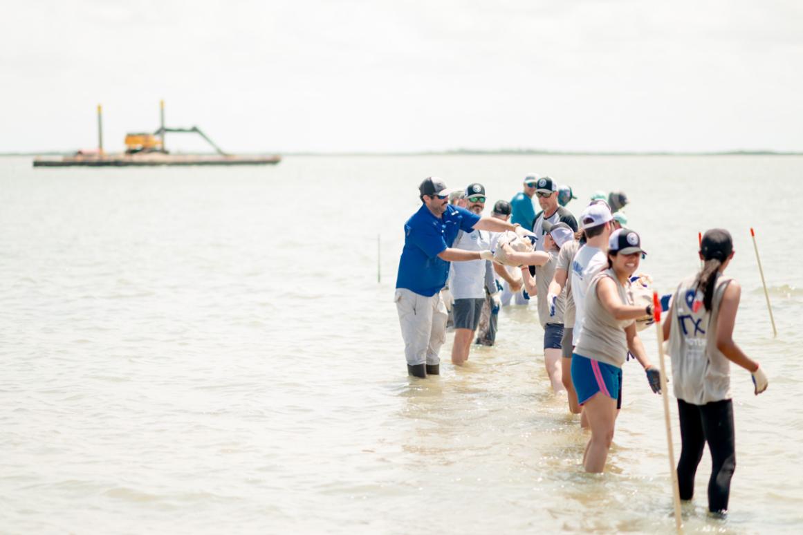 oyster bagging event