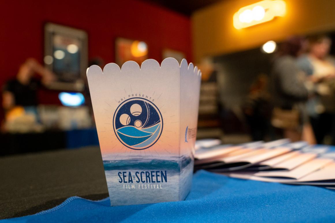Sea to Screen film festival 