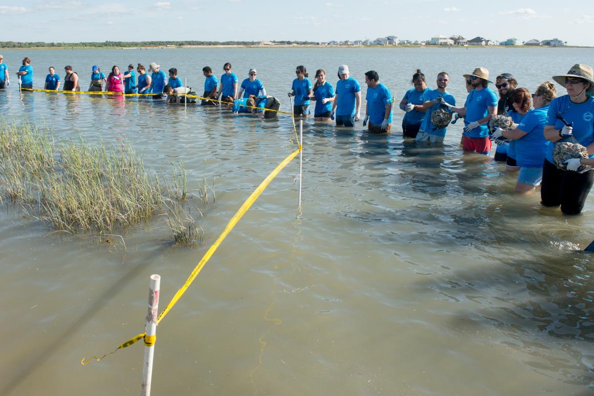 Oyster Reef Restoration event