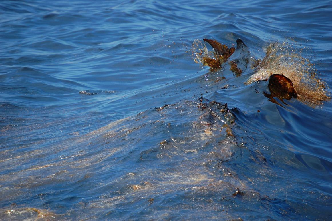 Oil Spill Gulf of Mexico