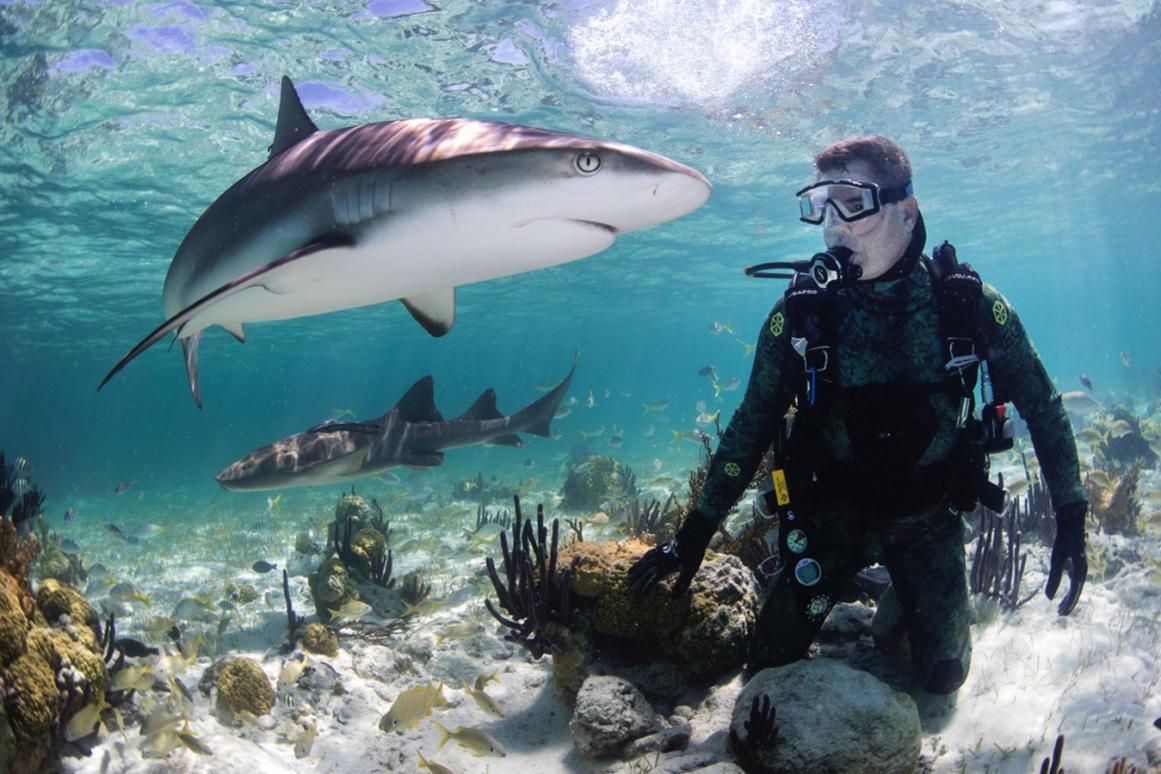 Dr. Greg Stunz of Port Aransas does some diving while conducting shark research in the Bahamas in 2020. Stunz recently was appointed interim director of the Harte Research Institute for Gulf of Mexico Studies at Texas A&M University-Corpus Christi. Photo by Joe Romeiro