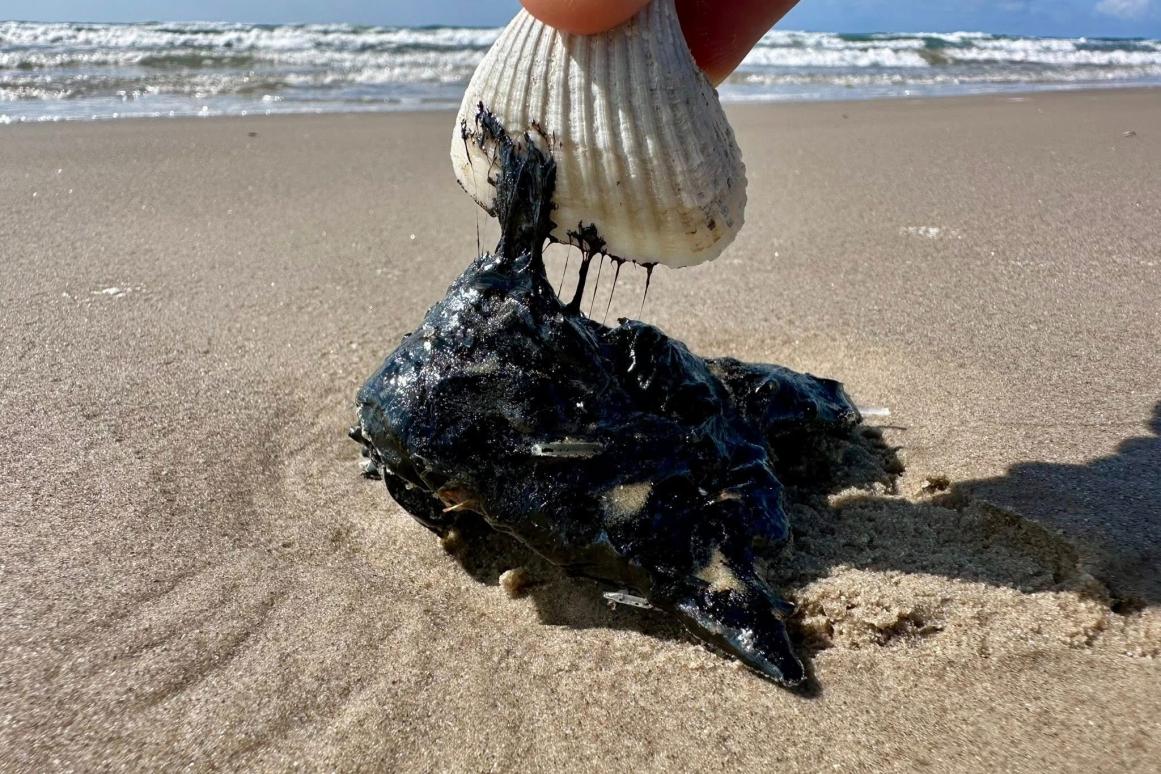 Tar ball on Texas beach