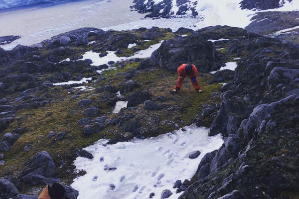 Palmer Antarctica Research