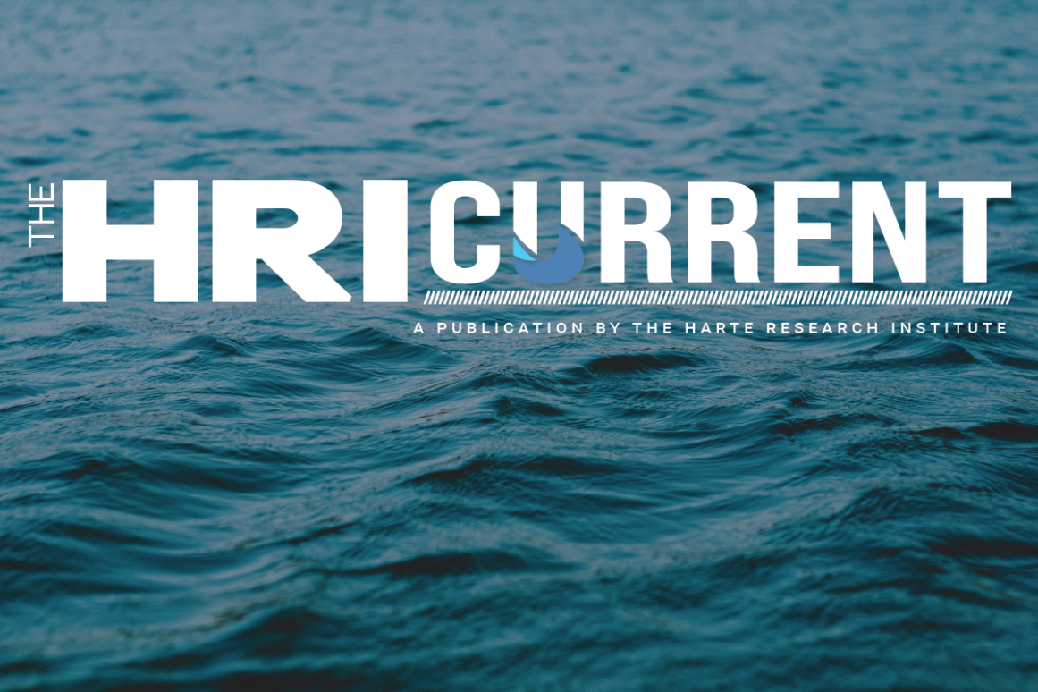 HRI Current eNewsletter