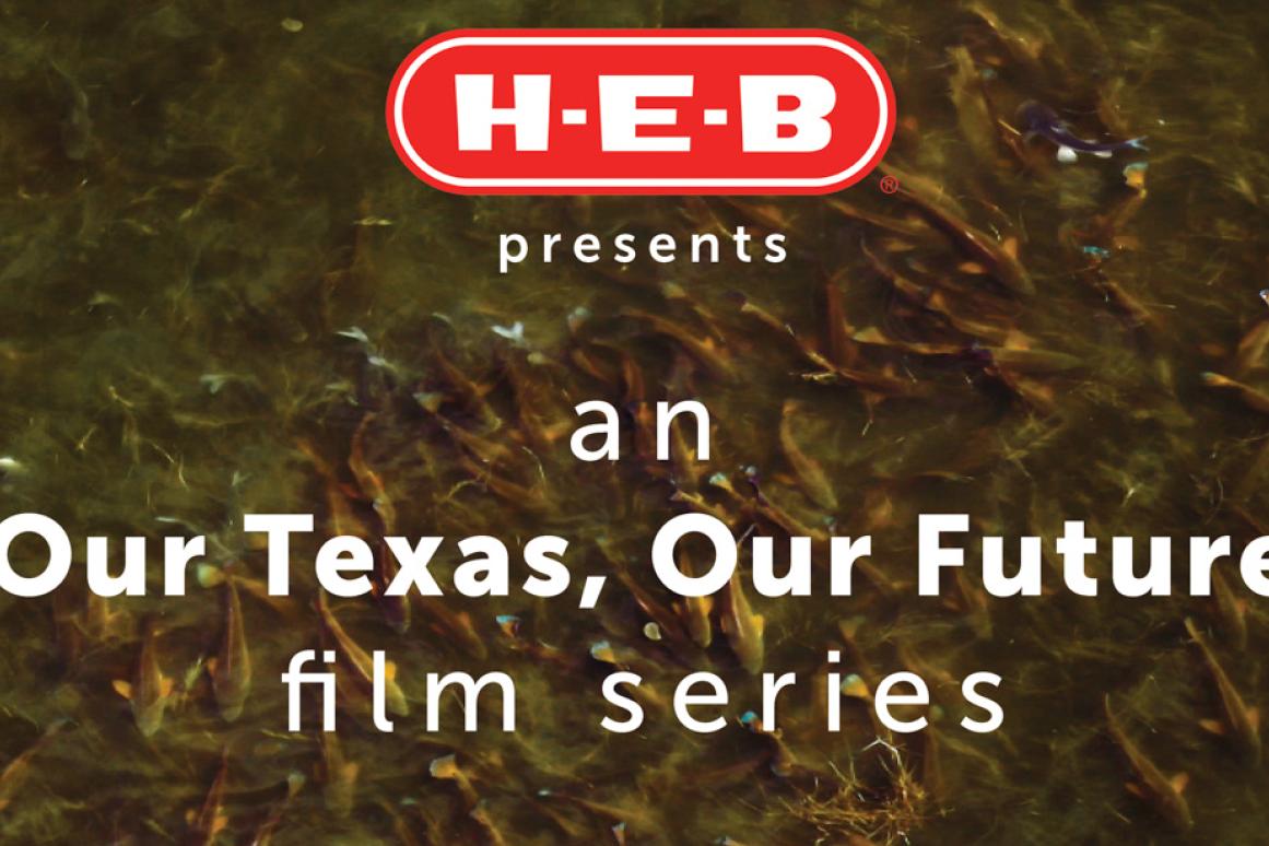 HEB film event