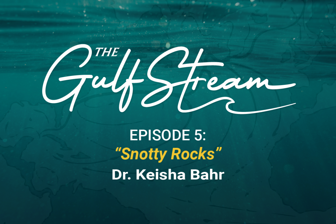 Gulf Stream Podcast Episode 5 "Snotty Rocks" 