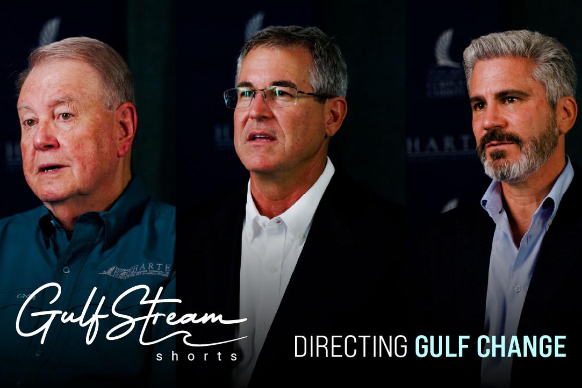 Gulf Stream Short - Gulf Impact