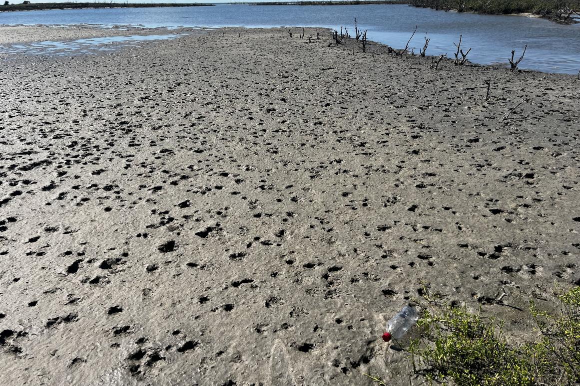 Hail damage on island
