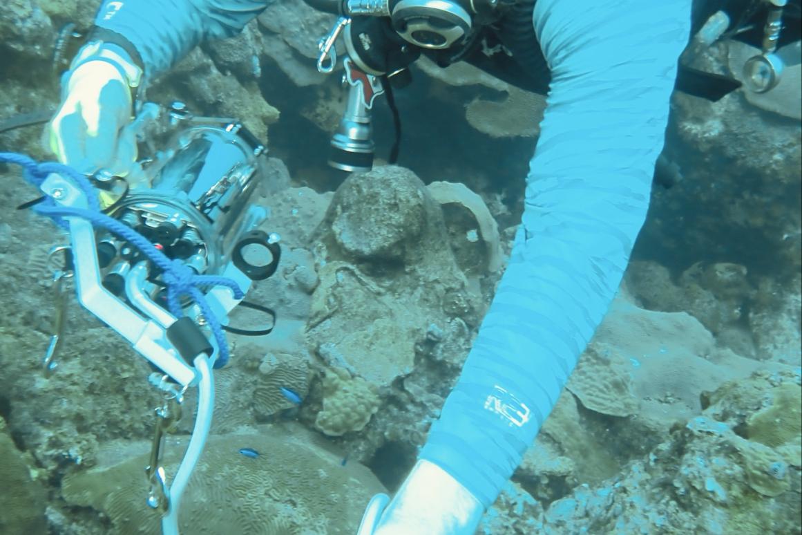 HRI Aquarist Jack Willans at Flower Garden Banks in Gulf
