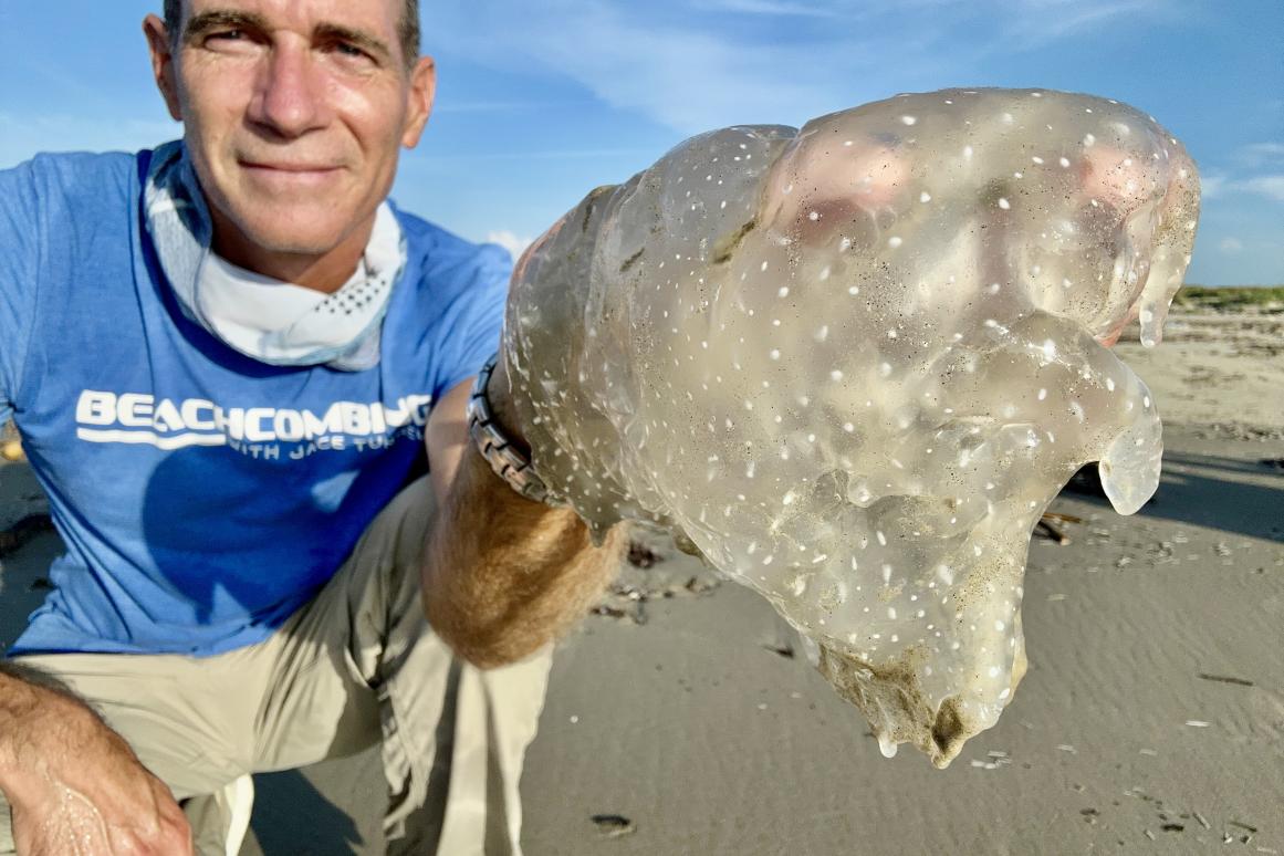Jace Tunnell holding up jellyfish