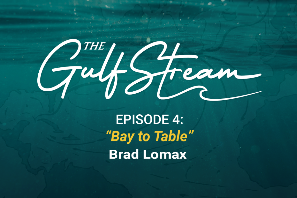 The Gulf Stream Podcast - Bay to Table