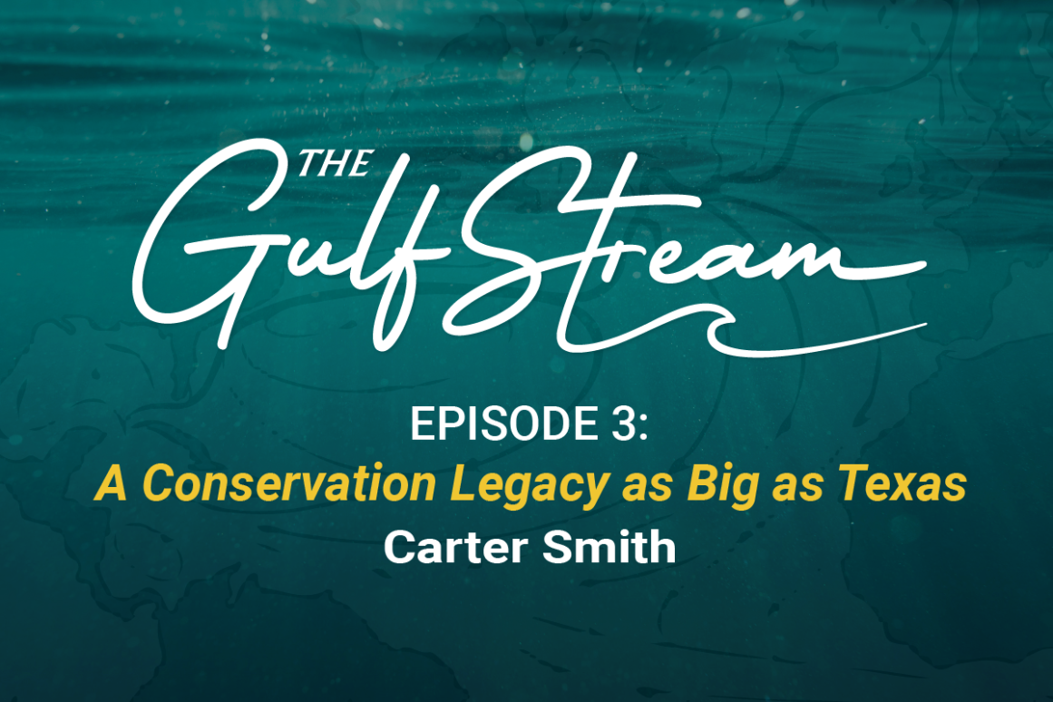 Carter Smith podcast