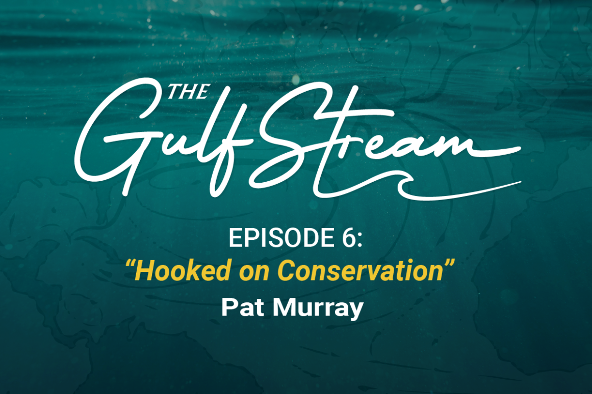 Gulf Stream Podcast Episode 6 "Hooked on Conservation" 