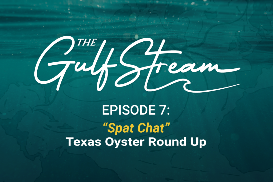 The Gulf Stream Podcast episode