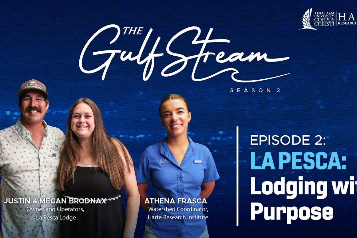 The Gulf Stream Podcast Season 3