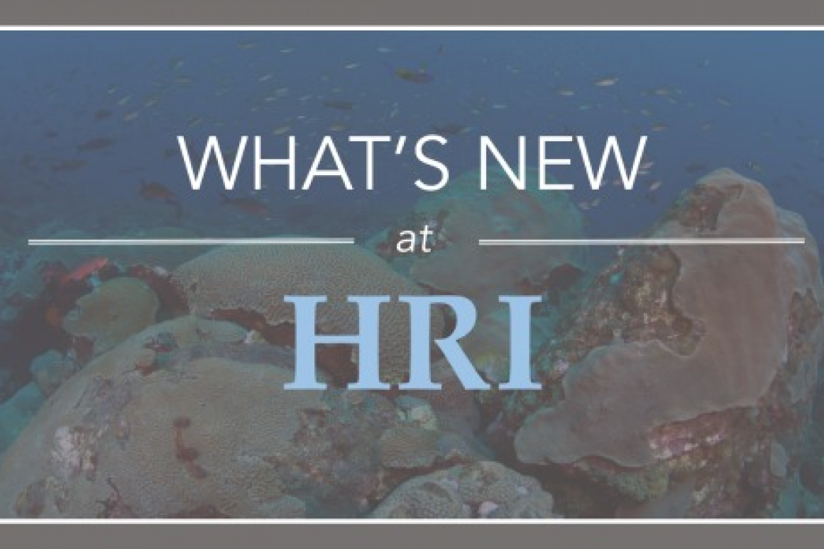 What's New at HRI