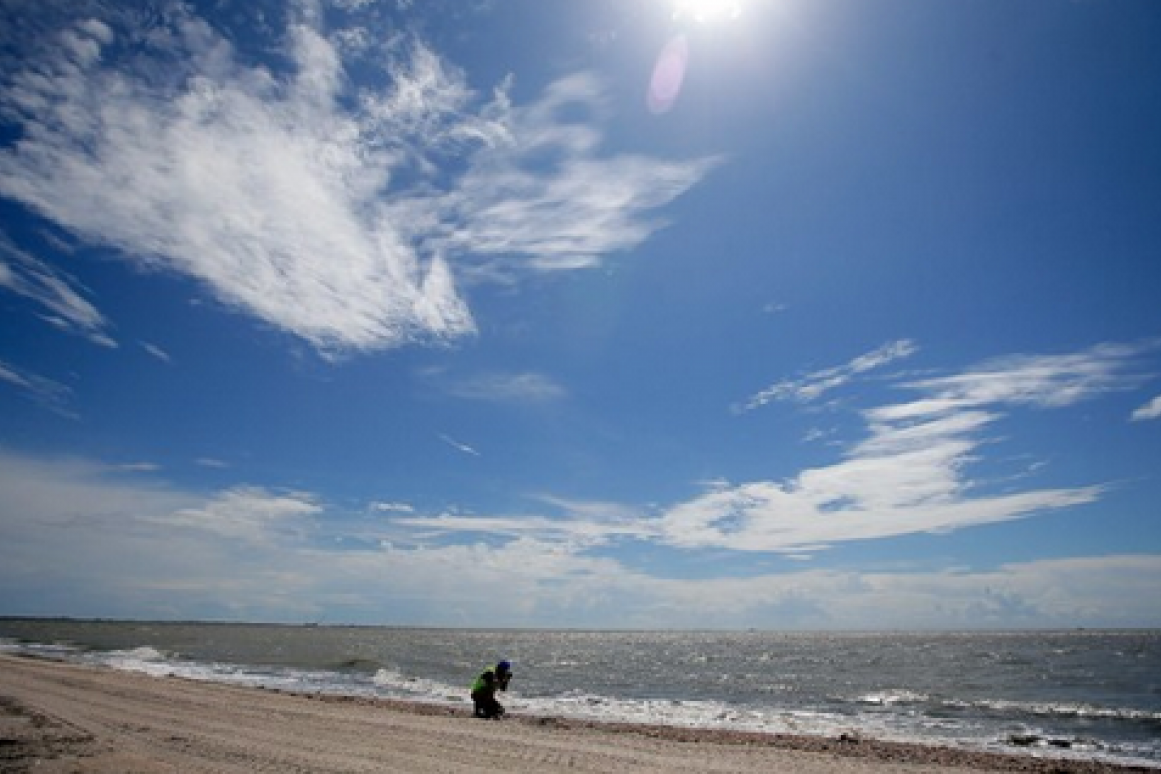 Shell Island