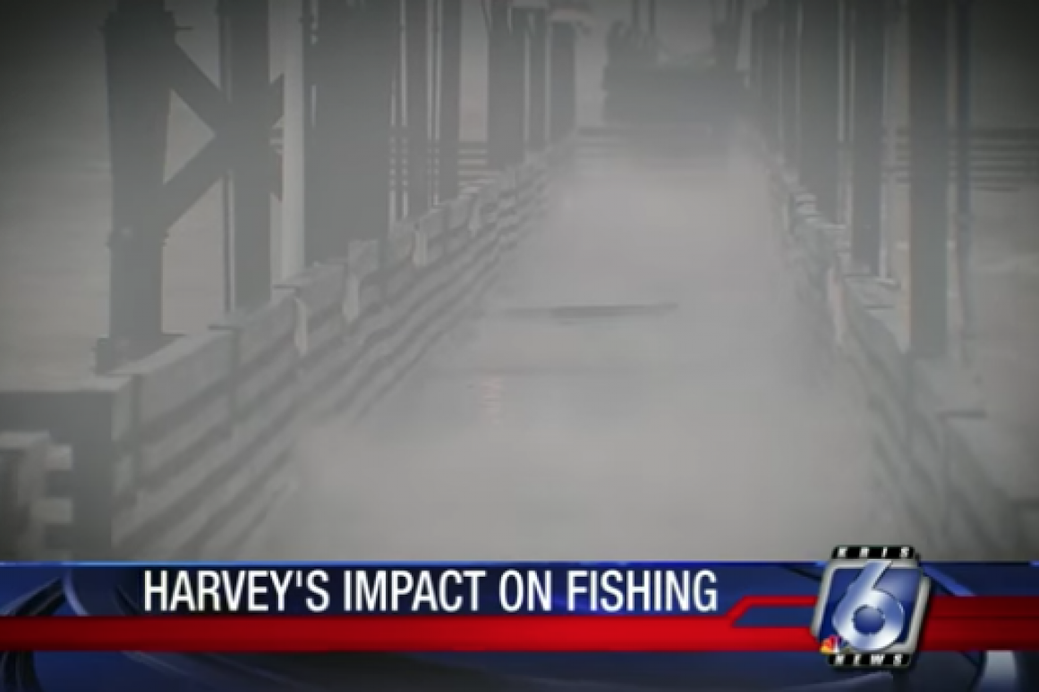 Harvey impact