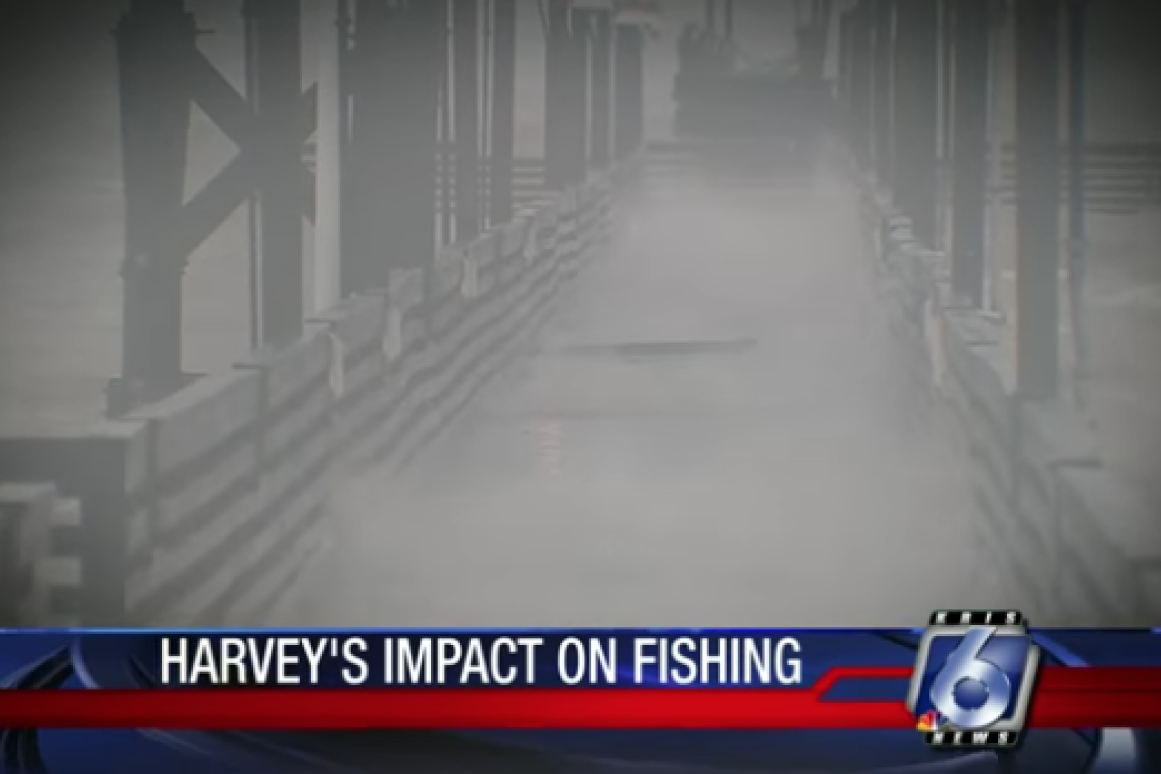 Harvey impact