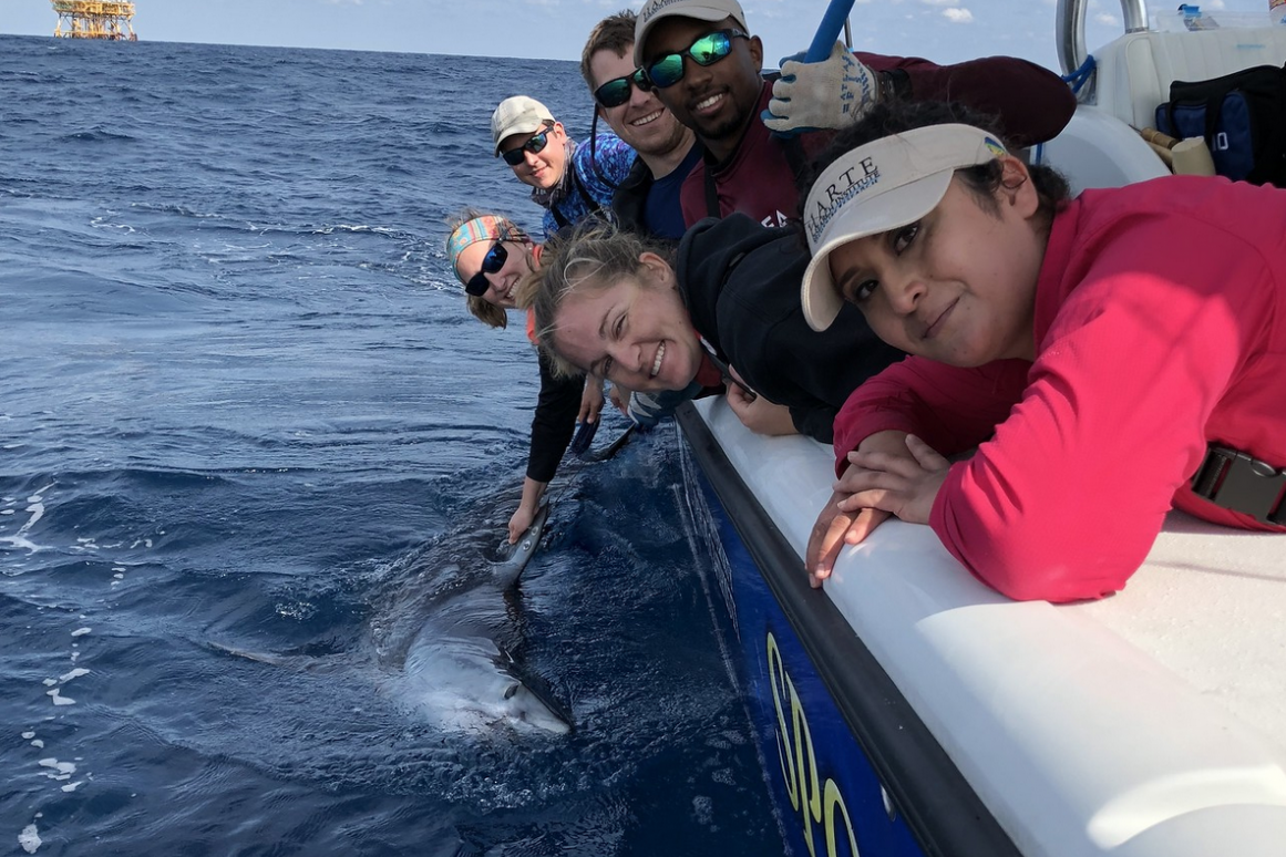 Pico and the Sportfish Center