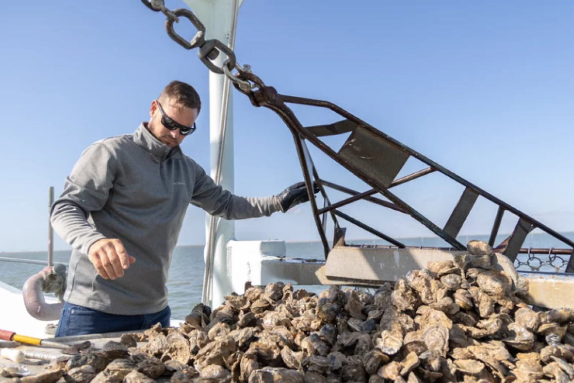 oyster fisherman