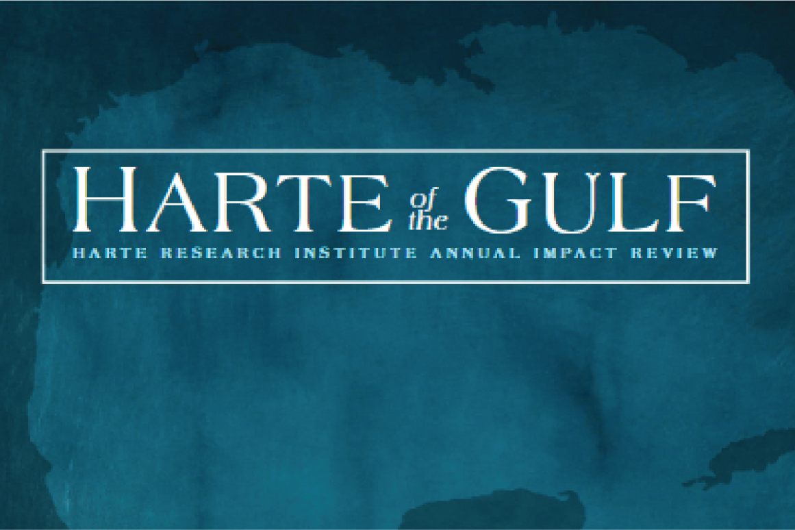Harte of the Gulf Annual Impact Review 2021