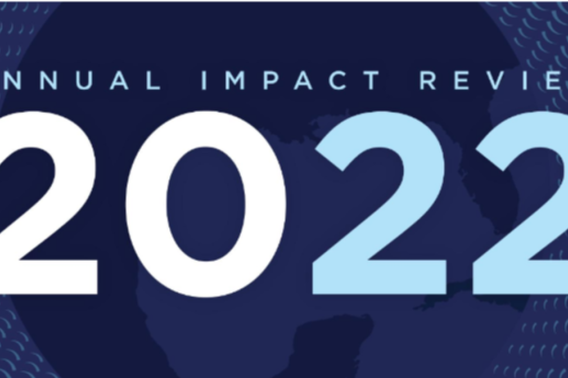 2022 Annual Impact Review