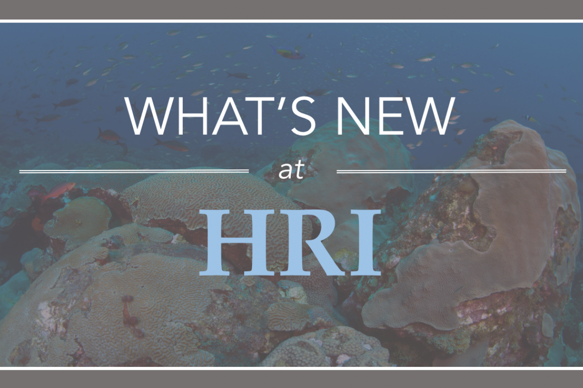 Harte Research Institute Newsletter