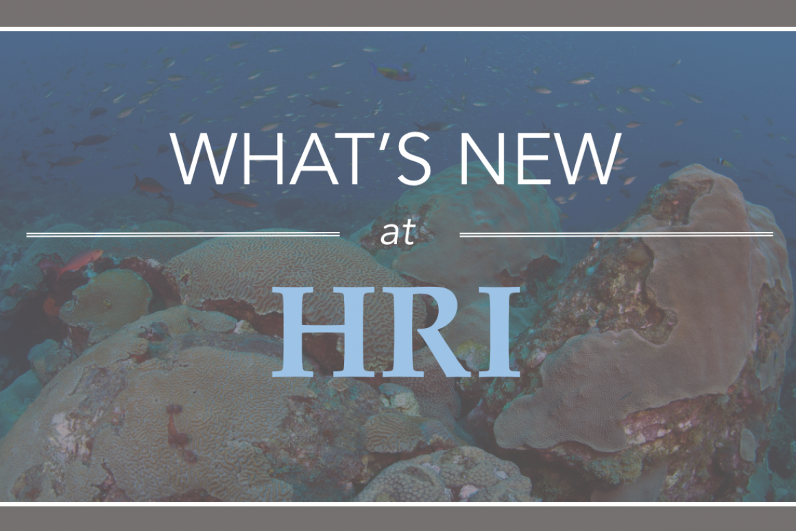 HRI summer newsletter