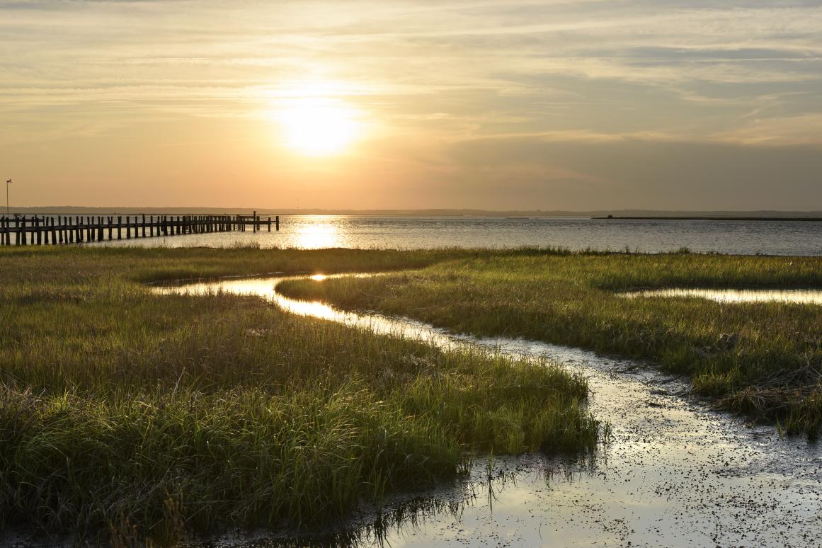 Texas coast freshwater inflow